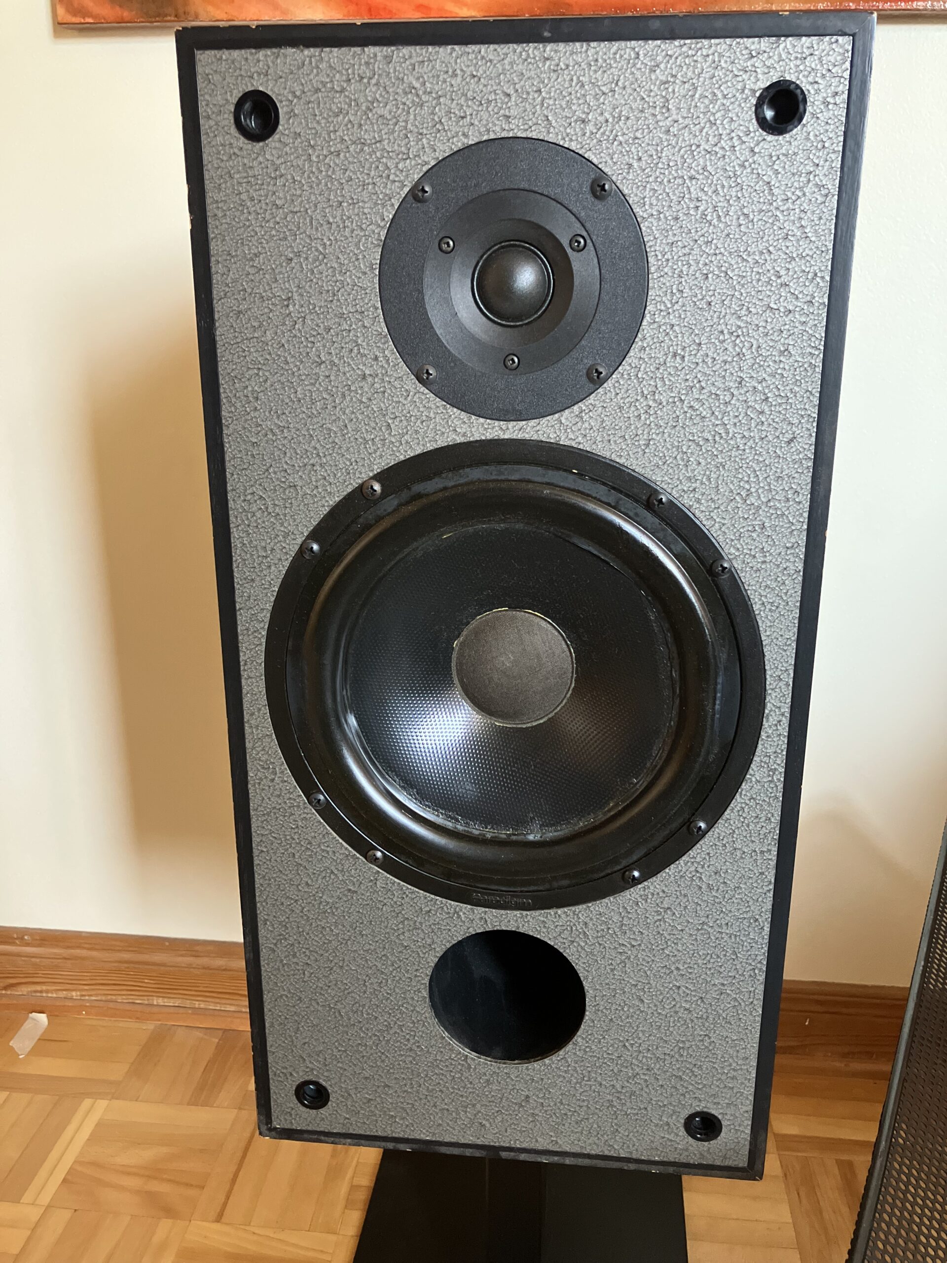 speaker1