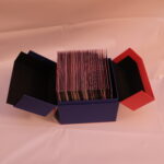 DSCF5609V1